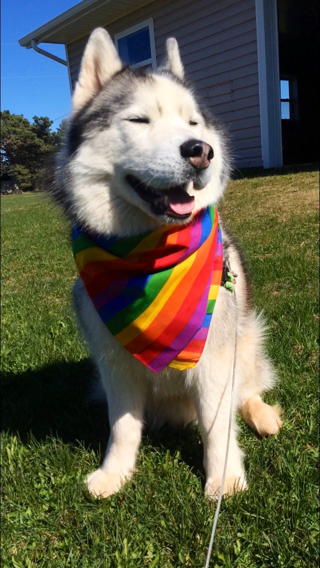 nxkimb's tweet photo. Happy #PEIPrideWeek Everyone !π³οΈβπ Go check out the amazing events organized by the best folks at @PridePEI . Wonderful job! ππΌ Always was and always will be an ally. #loveislove #pei #PrideWeek #teacher #π³οΈβπ #lgbtq2sia #β€οΈβπ½π https://t.co/h1YityTWPv