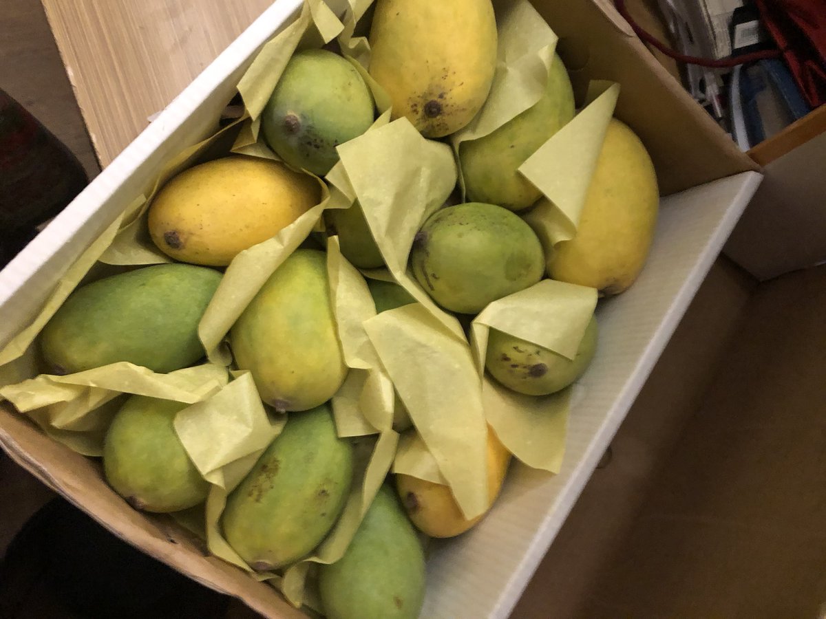 Summer gifts of mangoes !!! The best gift ever and I extend the goodness to families who cannot afford- Terrible times with inflation sky rocketing- #povertyinPakistan #foodinflation #givetochildren