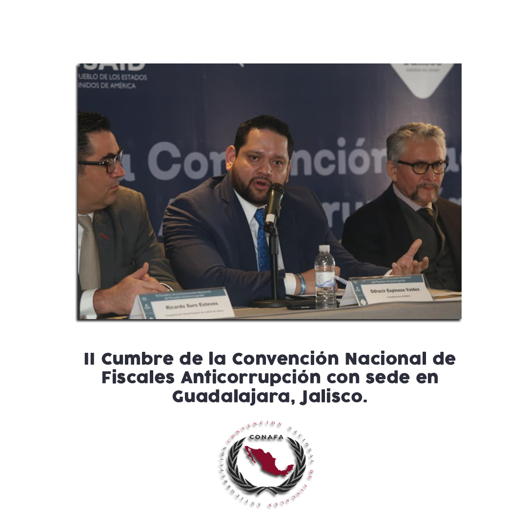 CONAFA, nace el 7 de septiembre del 2018, con el fin de establecer prioridades, estrategias y políticas para lograr optimización, eficiencia y eficacia en el ejercicio de las responsabilidades que nos otorga el marco jurídico, abatir la impunidad y la corrupción.