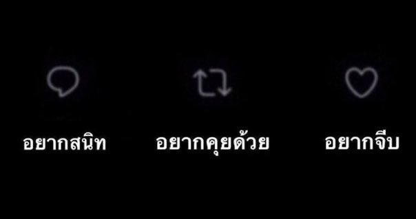 คาดหวังล่ะมั้ง