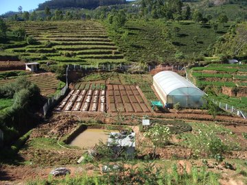 The Friends of H.O.P.E tweet media