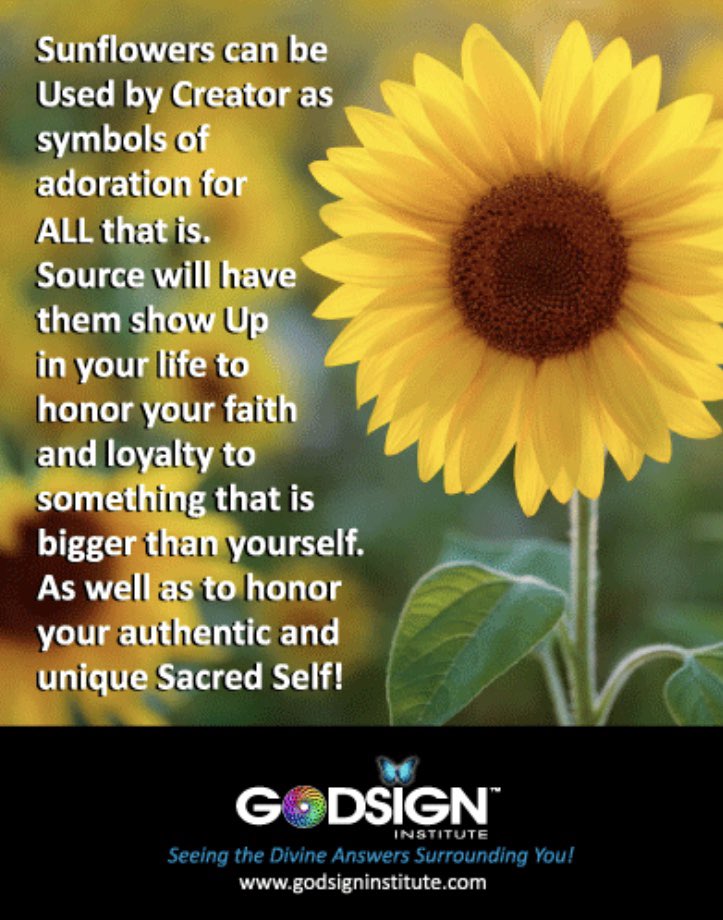 godsigninst's tweet photo. #godsigninstitute #sunflower #Sunflowers #Creator #source #Honor #Faith #loyalty #unique #sacredself #Spirituality #spiritual #godsign #godsigns https://t.co/PuwTEf4Sp9