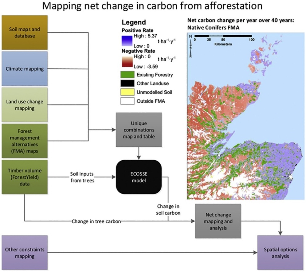 It integrates soil, climate and land-use data with future reforestation scenarios to assess carbon accumulation over time.2/