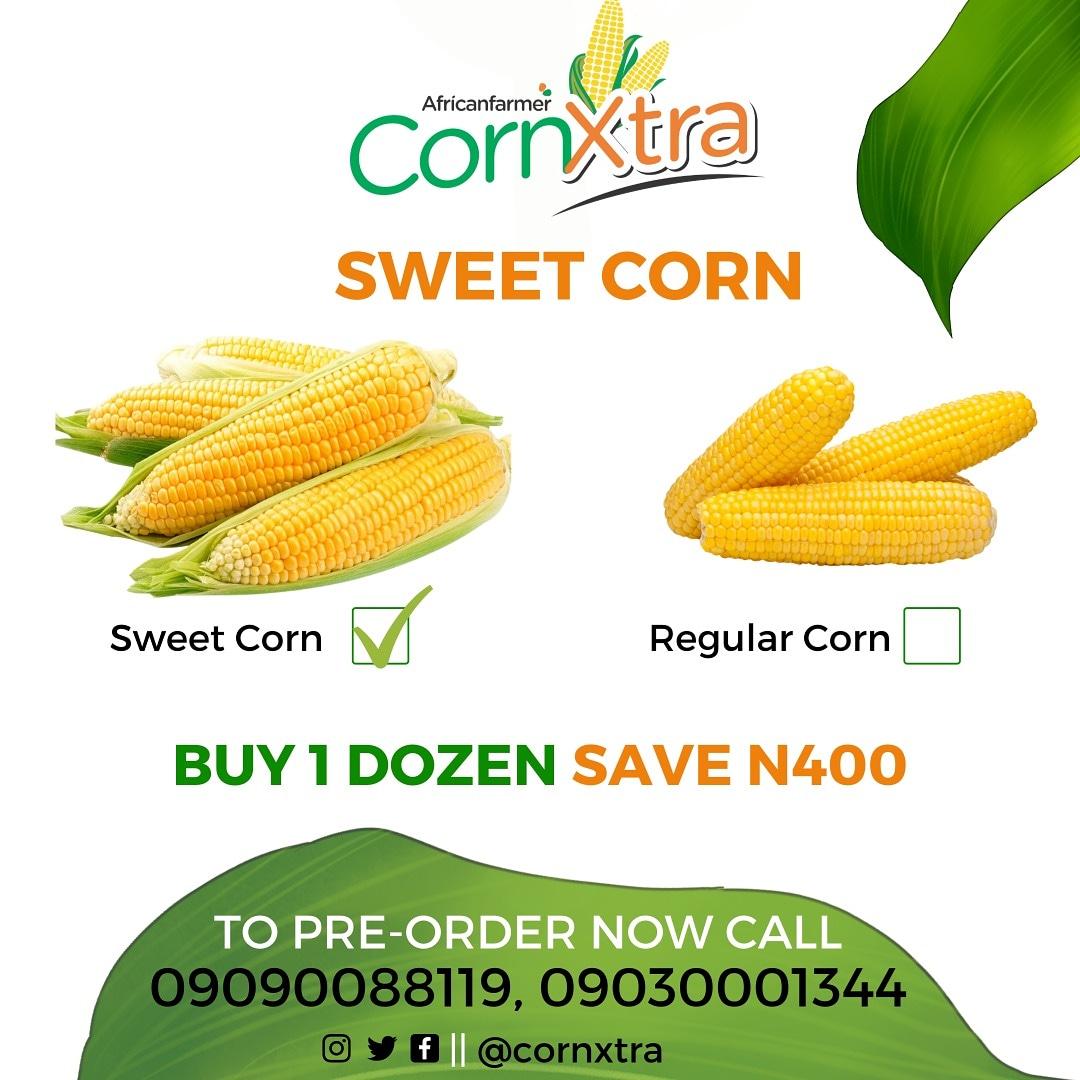 CornXtra's tweet photo. Not just corn, it's Sweet Corn. Pre-Order your pack of CornXtra now.

Call 09090088119 or 09030001344.
#CornXtra #SweetCorn https://t.co/dCuJtnKPxY