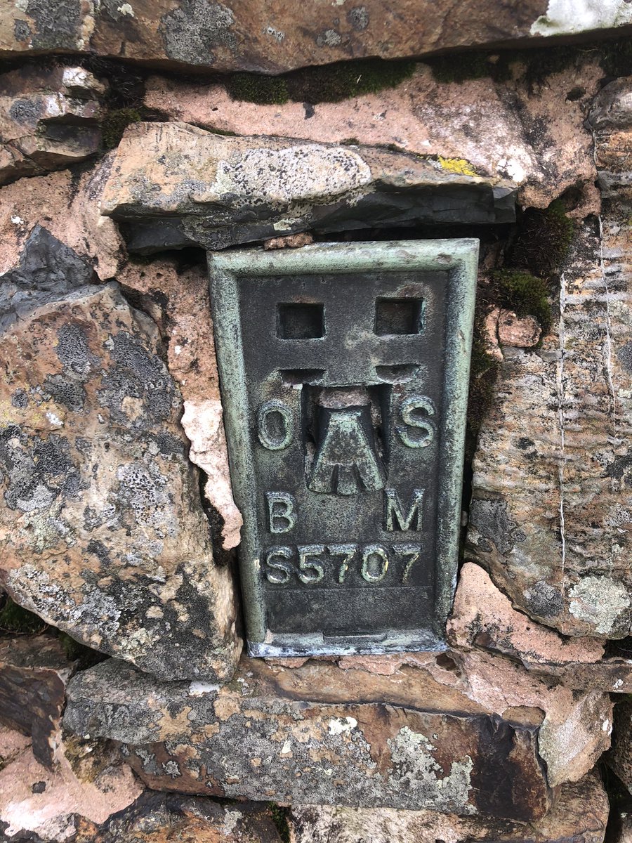 Nature Ninja tweet media