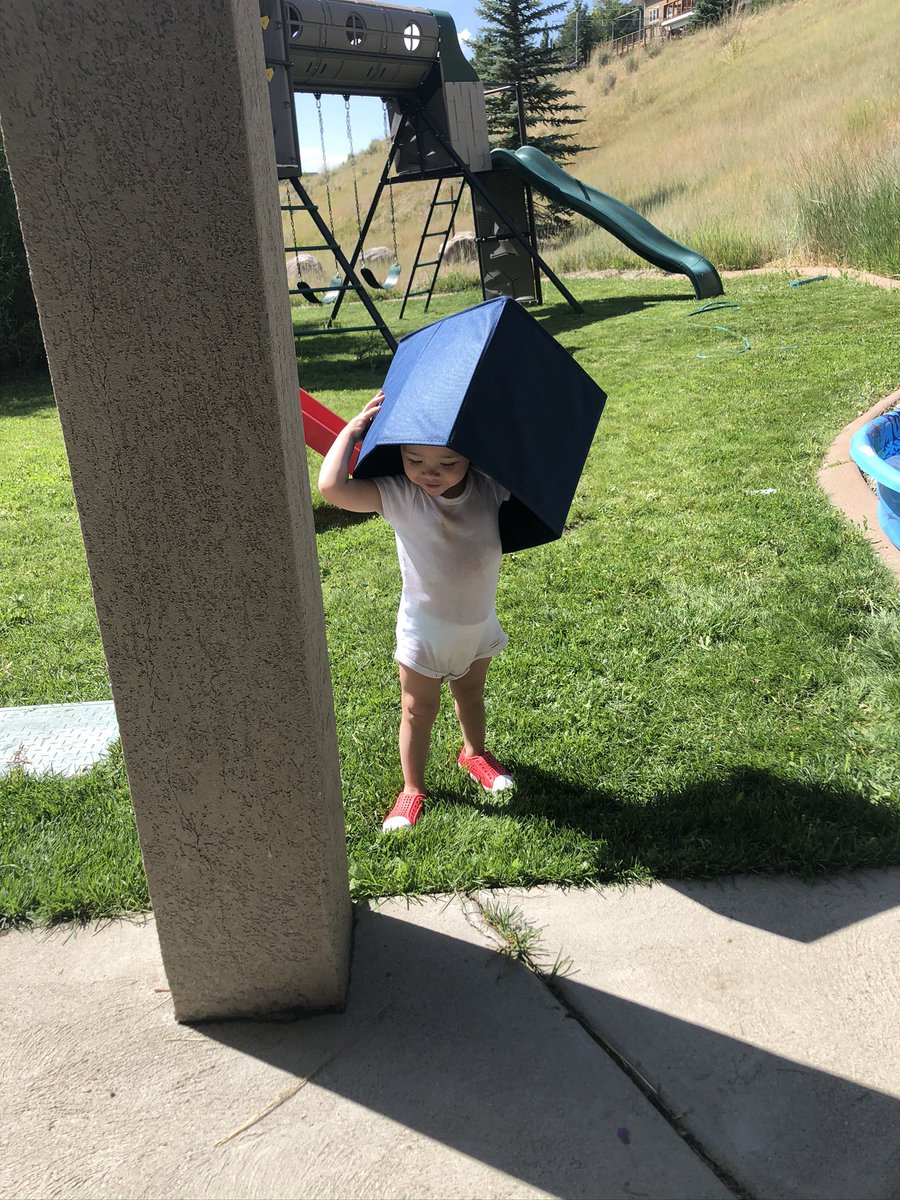 ShaunaTweets's tweet photo. @Melissassmile Good morning, Melissa, from Makai. https://t.co/wyyAwPYJFo