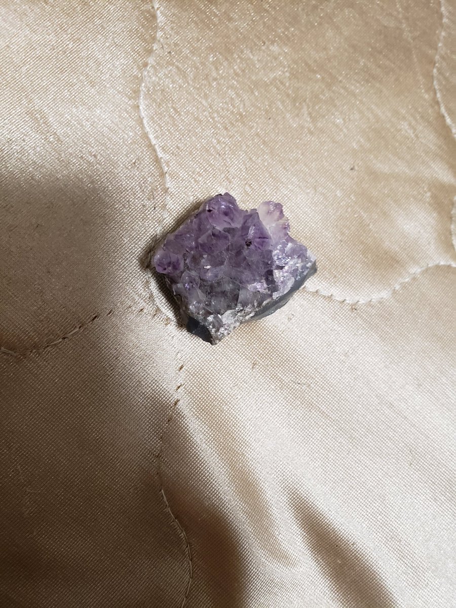 シソ アメジストかな