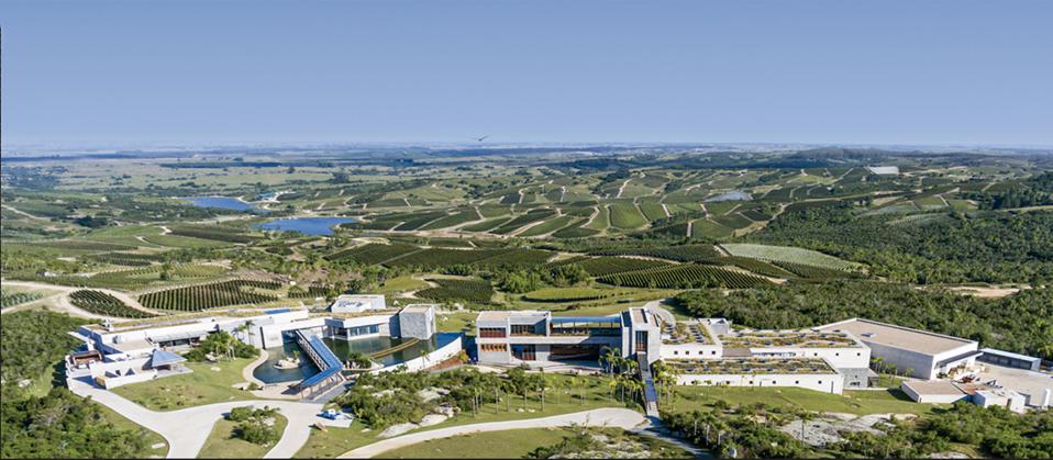 Take Five: Best Vineyards In The World  
👇
forbes.com/sites/lanabort…

<a href="/Forbes/">Forbes</a>  <a href="/BodegaGarzon/">Bodega Garzón</a> 
 Bodega Garzón, Maldonado, Uruguay.
