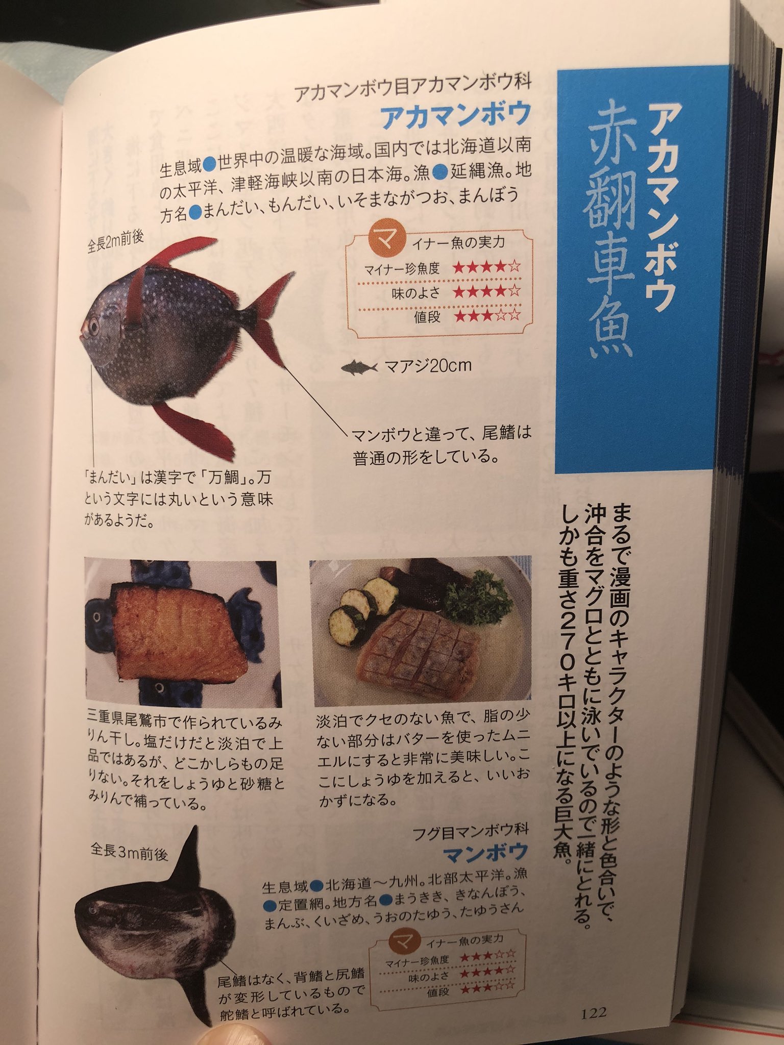 日高トモキチ 小説集 レオノーラの卵 発売中 Tamazzo Ishimochi Asami うまい 元気が出るテレビ 亡くなっちゃいましたねえ むかしやつてたtvおじゃマンボウという番組には堀井憲一郎先輩がほぼレギュラー出演しておられたものです 強引にマンボウ絡み