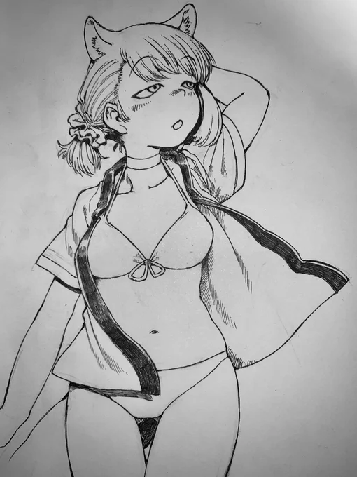 普通の水着も出てもいいと思いますよ。
#けものフレンズ 
