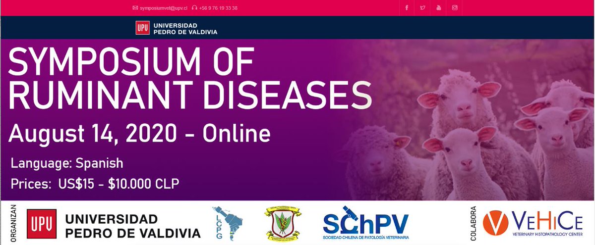VehiceLab's tweet photo. La Sociedad chilena de Patología Veterinaria, el Latin Comparative Pathology Group, CL Davis DVM Foundation y Universidad Pedro de Valdivia (UPV), en colaboración con VeHiCe Spa, los invitan al "Symposium of Ruminant Disease" el día 14 de Agosto de 2020. https://t.co/qjcFsmKDWB https://t.co/AomprtqRlh