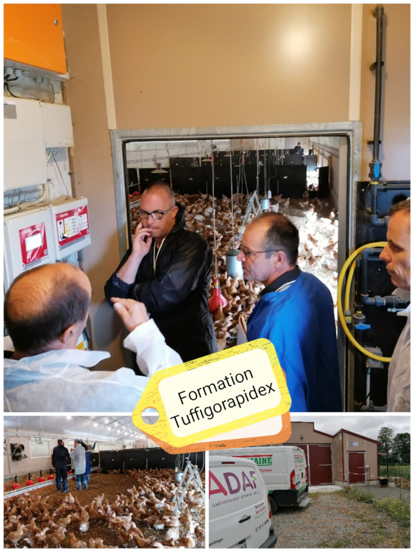 Tuffigorapidex's tweet photo. Formation 🐥au CFA La Germinière (72) dans un poulailler Label-Cafel-Loué.
2 installateurs - ADAF et Technimaine - étaient présents.
Au menu:
☛ optimisation paramétrages régulateur #labelbox
☛ gestion éclairages Led PULSA
Animation : Pôle Services Clients.
#adaf #technimaine https://t.co/w1shVwSFf2