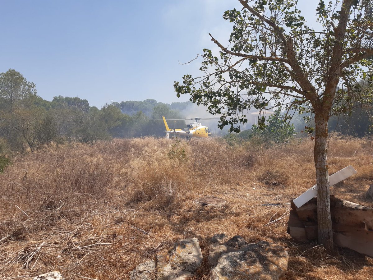 ajllucmajor's tweet image. Controlat l'incendi a Puig de Ros.
Agraïm les tasques realitzades als @BombersdeMca, @ibanat_IB , Policia Local, @PCivilLlucmajor i @guardiacivil
I a tots els veïns que des de el primer moment han ajudat amb els mitjans que tenien a casa.
