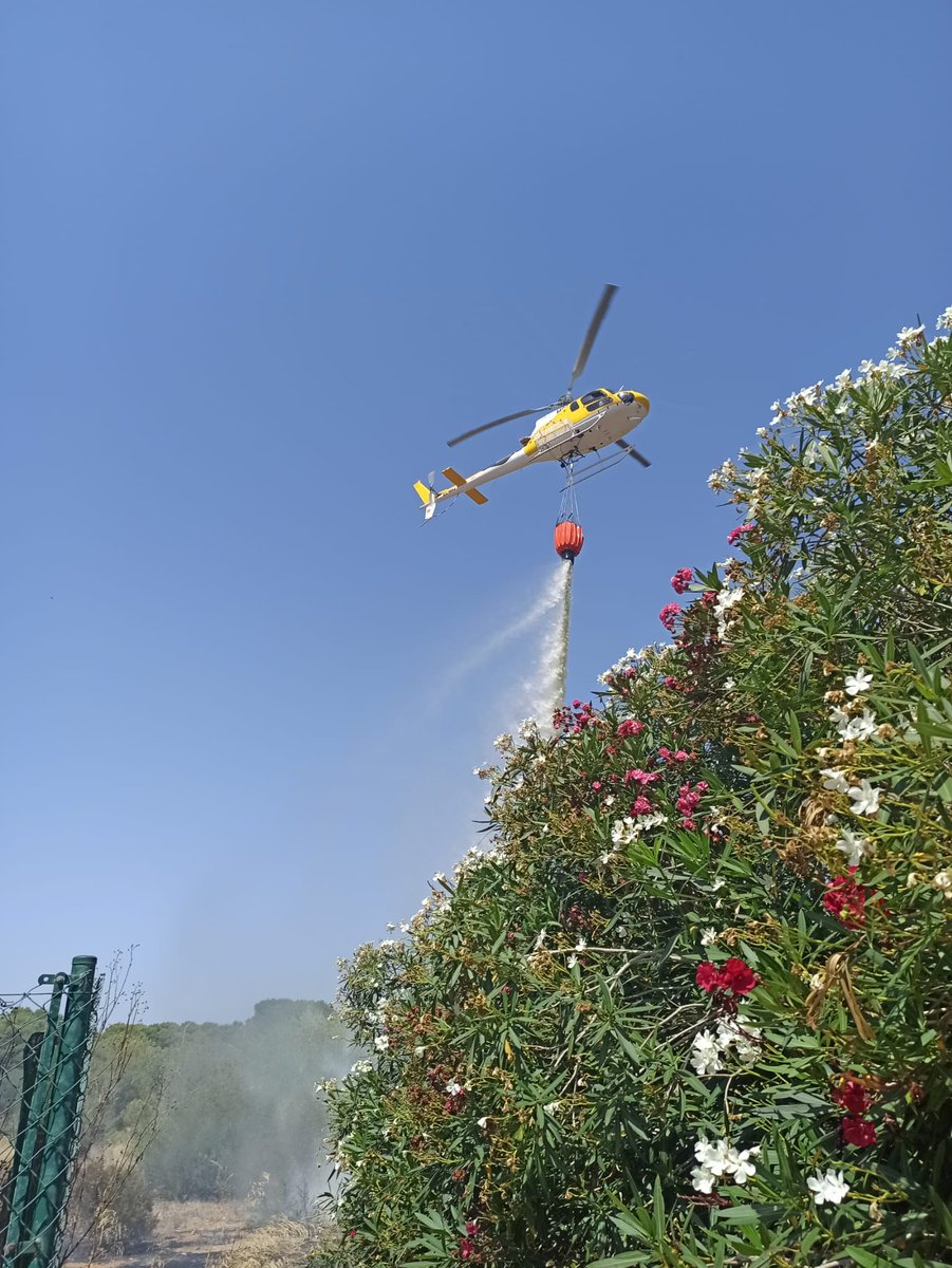 ajllucmajor's tweet image. Controlat l'incendi a Puig de Ros.
Agraïm les tasques realitzades als @BombersdeMca, @ibanat_IB , Policia Local, @PCivilLlucmajor i @guardiacivil
I a tots els veïns que des de el primer moment han ajudat amb els mitjans que tenien a casa.