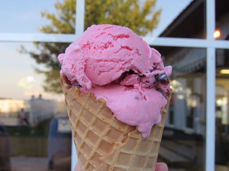 Great dairy cows make delicious farm fresh ice cream! 🐄🍨 

Its still National Ice Cream Month so you have just a few more days to celebrate. 

What is your go to ice cream flavor?