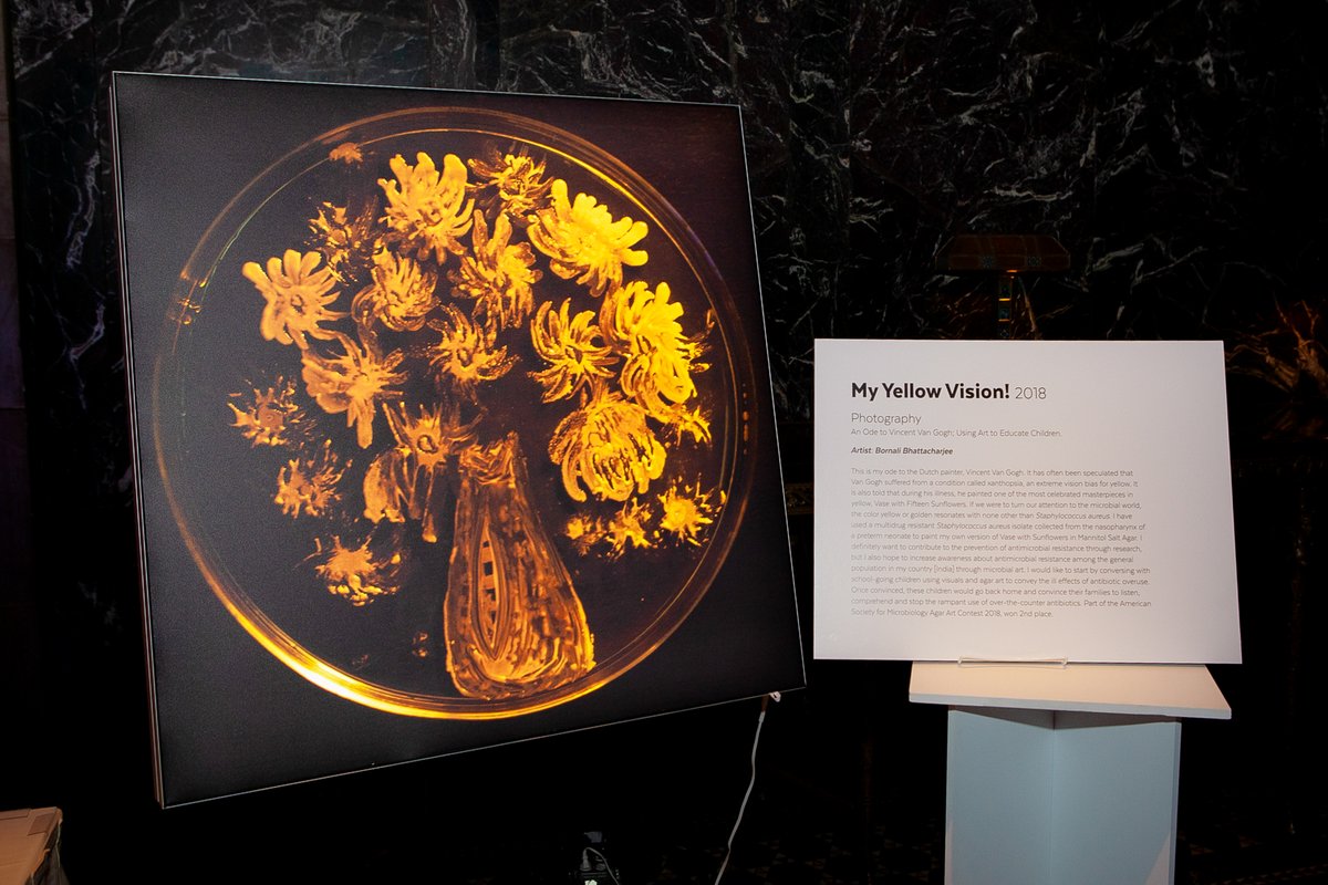 AMResistance's tweet photo. ππ’ππ₯π: My Yellow vision!
ππ«ππ’π¬π: Bornali Bhattacharjee
πππππ π¨π«π²: Agar Art (created in a petri dish using living, growing microorganisms)
#AMResistanceFighters #AMRart
To learn more about Agar Art, visit https://t.co/EVOAOJCK3O. https://t.co/XhHuARcZyj