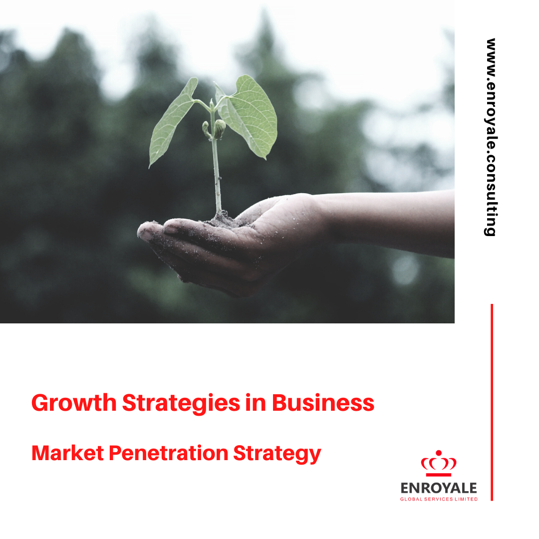 ENROYALE's tweet photo. Most #companies have plans to grow their #business and increase #sales and #profits. However, there are certain methods companies must use for implementing a #growth #strategy. One common growth strategy in business is Market Penetration. #BusinessTips https://t.co/KqJnGnxoGu