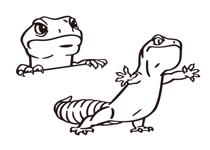 #leopardgecko #illustration 