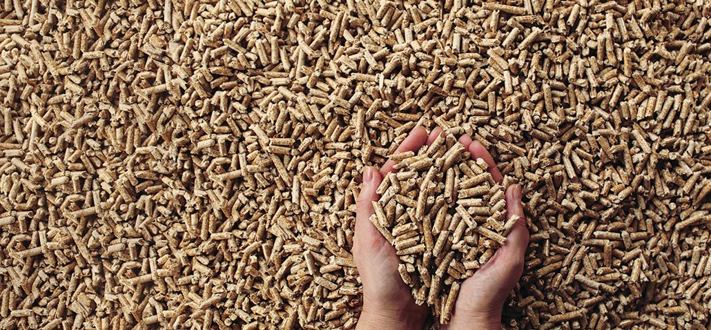 BalcasEnergy's tweet photo. Everything You Need To Know about Wood Pellets: https://t.co/62uH67yOMO
#RenewableEnergy #sustainable #positivebalcasenergy https://t.co/u2N6w64hRy