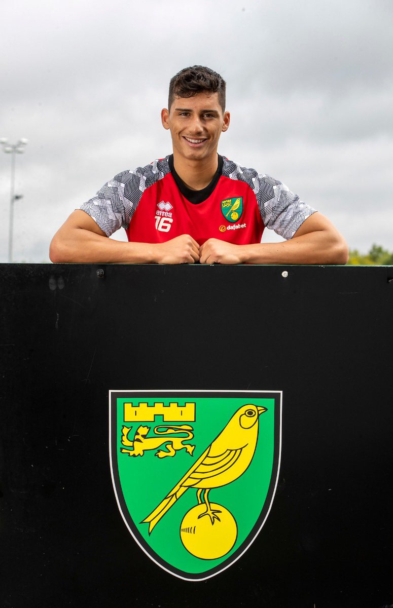 Sebastian Soto tweet media