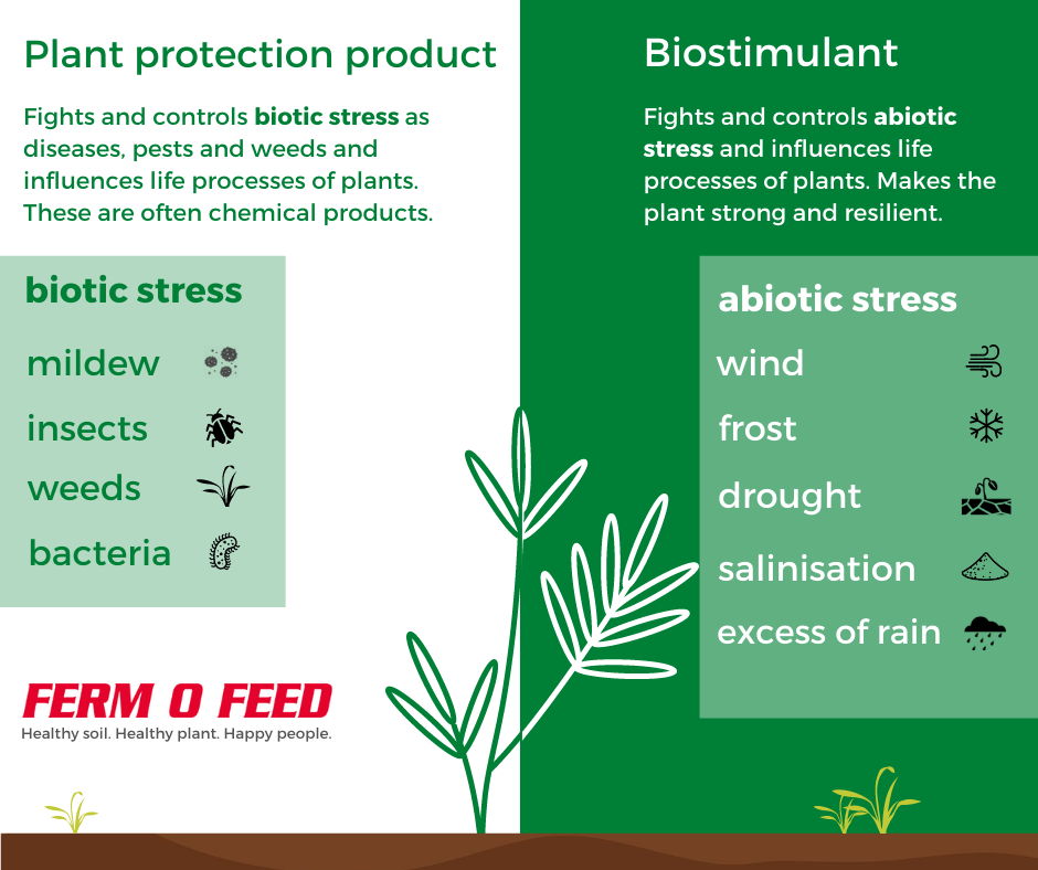 fermofeed's tweet photo. 🧐 A common misunderstanding is that a biostimulant is a plant protection product

❌ They are not!

✅ Biostimulants have no direct effect against diseases and pests. They work 𝐩𝐫𝐞𝐯𝐞𝐧𝐭𝐢𝐯𝐞𝐥𝐲 by strengthening the crop against abiotic stress https://t.co/0duQaeSCOP