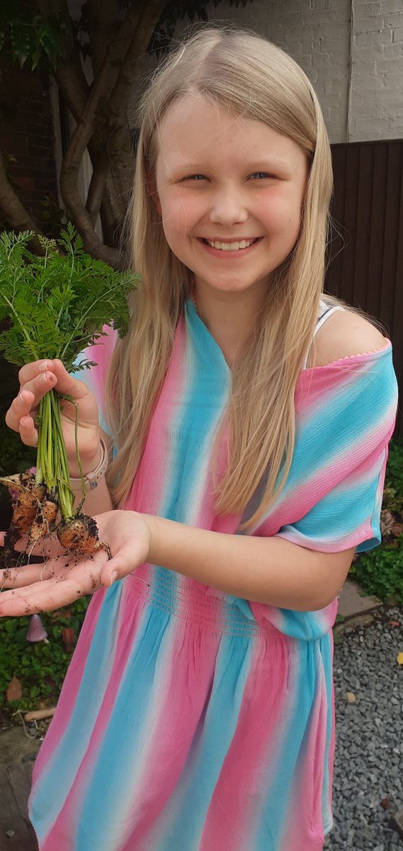 MissHensonHist's tweet photo. Number 15 learn something new. We grew our first ever carrots! I think they ran out of room in the grow bag π€¦ββοΈbut my daughter is delighted! #RMNotGoingOut @RusheyMeadAcad https://t.co/OjMFqr7qou