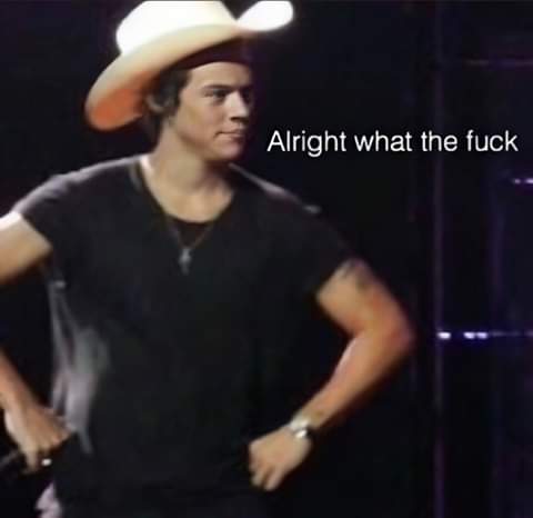 _emberphoenix's tweet photo. 30 MINUTES OF BONUS FOOTAGE WAS HIDDEN FOR 6 YEARS BITCHHHHHHHG 💀🤡
#1DSanSiro #10yearsOf1D
#1DWWATOUR https://t.co/ArTfMJACh5