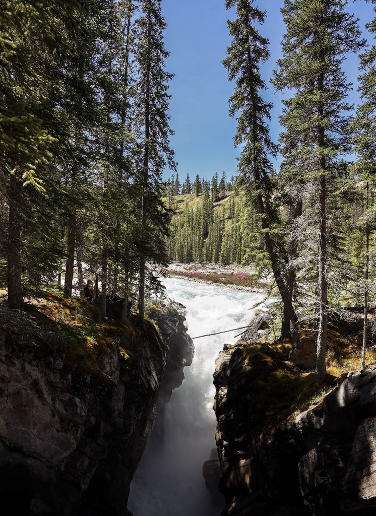 NAdventureSquad's tweet photo. Checked out Siffluer Falls. Usually I don’t see a lot of Tourists (non-hikers) where I hike so this was a new experience for me. I enjoyed championing people to push past their comfort zone to experience the beauty of the area.  #hikealberta https://t.co/aPnmsyTPby