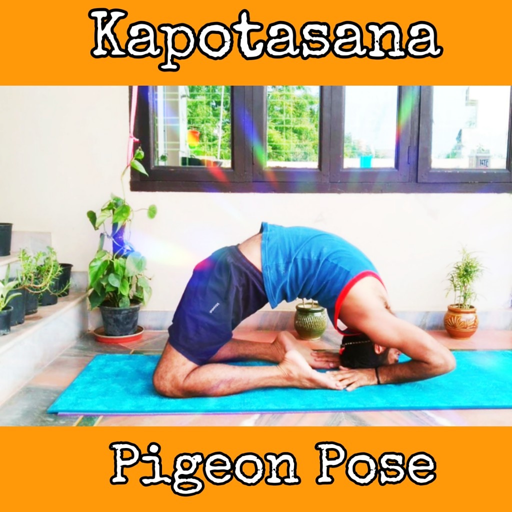 priyeyadavindia's tweet photo. #yogajournal #indianyogi #ashtangi #yogatips #yogalearning #YogaDay #yoga #Yoga   #yogajourney  #yogapose #yogalife  #yogaeverydamnday #yogalove  #yogadaily  #yogainspiration #yogachallenge #yogaprogress #balancing #balancingpose #yogacore #pigeonpose #pigeon https://t.co/jrdefN5wfi
