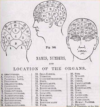 [ #NeuroRacism | Phrenology ] Phrenology was the study of head shapes and sizes. It was a pseudoscience wildly popular between 1820-1850.Surprisingly, its beginnings did not completely overlap with race. Instead, it started by looking at criminality