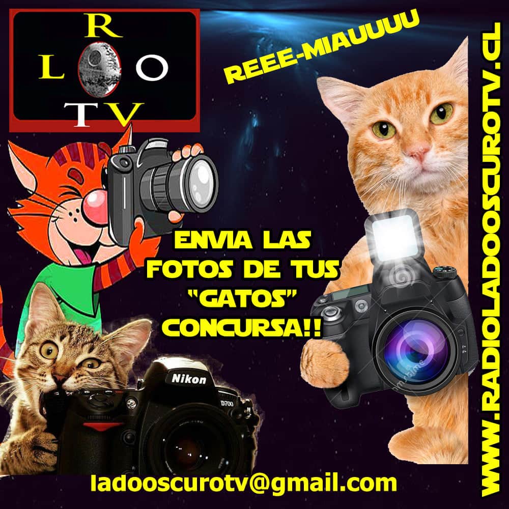 CattoTV's tweet photo. TUS FOTO DEL CONCURSANTE, EL NOMBRE DE EL, EL NOMBRE DEL APODERADO Y TU COMUNA... ENVÍALOS A ladooscurotv@gmail.com https://t.co/98t5GAQ3KS https://t.co/agiyB9PDhg