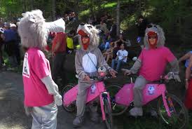 Sad that Lupo was retired, but on the positive side, it did lead to pro-wolf activists wearing fursuits at the Giro in a campaign to bring Lupo back!