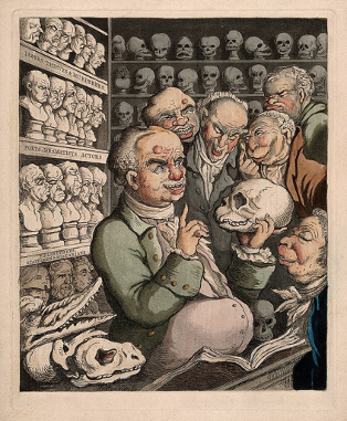 The work that Franz Gall, founder of phrenology, did was more related to the origins of what we now call criminology - as in finding biological explanations for crime and criminality.Gall believed that changes in the brain manifested as bumps on the skull that can be measured.