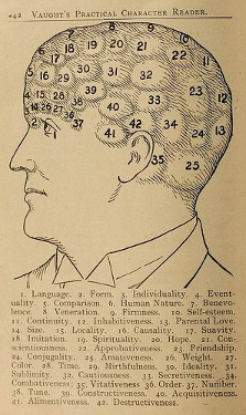 While short-lived, phrenology was highly influential to the young field of neuroscience.Most of it was disproven, but the notion of the brain being responsible for our behaviors, and the idea of different brain regions being responsible for different functions remains.