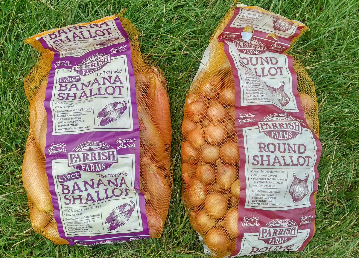 Fantastic #shallots direct from <a href="/parrishfarms/">Parrish Farms</a> for cooking and #pickling. What could be nicer.
..