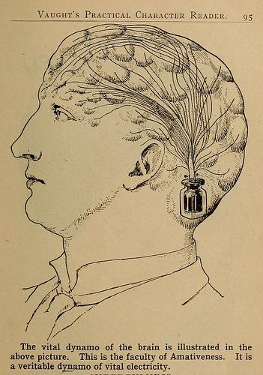 While short-lived, phrenology was highly influential to the young field of neuroscience.Most of it was disproven, but the notion of the brain being responsible for our behaviors, and the idea of different brain regions being responsible for different functions remains.