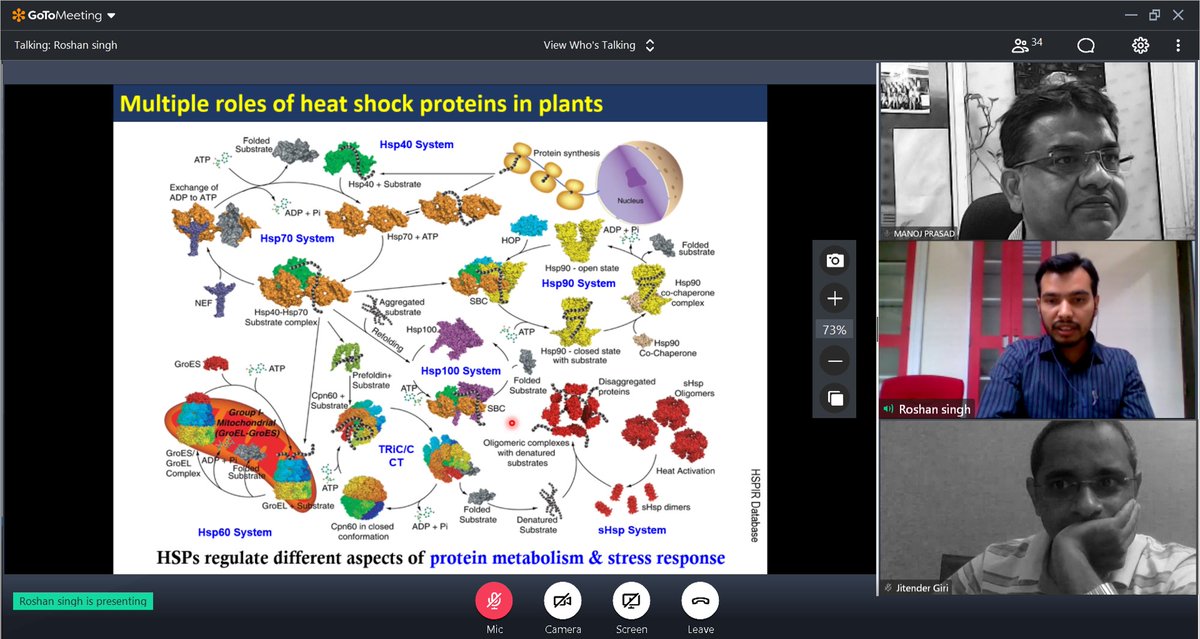 Mr Roshan Singh successfully defended his doctoral thesis (Through Dr. Manoj Prasad, Scientist) entitled “Delineating the roles of heat shock factor- and heat shock protein- encoding gene(s) of foxtail millet [Setaria italica (L.) P. Beauv.] during abiotic stress” on Jul 28, 2020