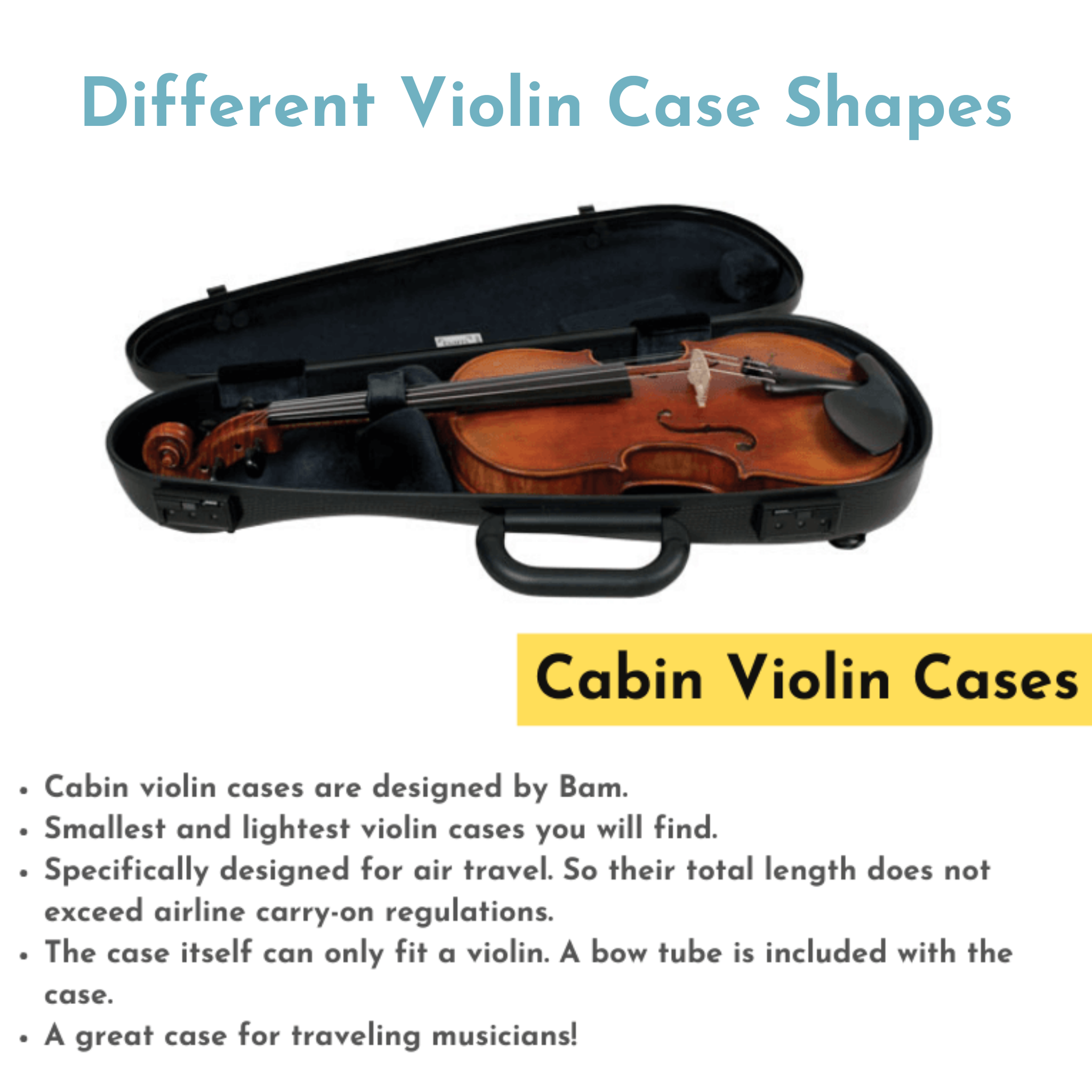 Great on sale violin cases