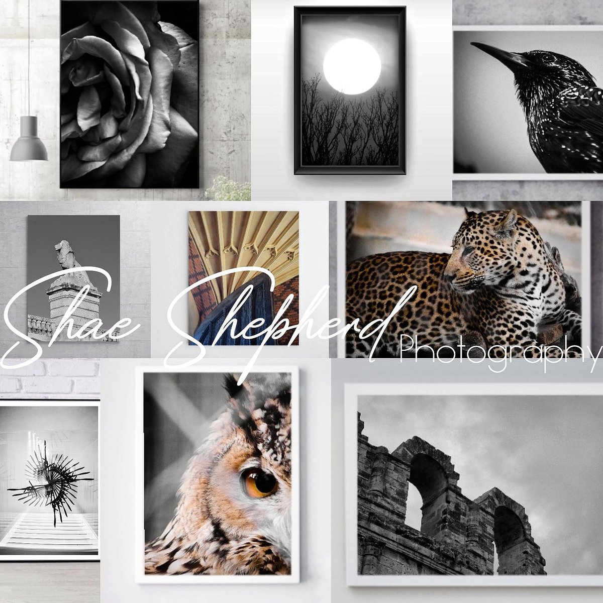 shae_images's tweet photo. "You Don't Take A Photograph, You Make It" - Ansel Adams
To Order or To See More Of My Print Library Contact me TODAY! 

#fineartphotography #blackandwhitephotography #interiordesign #stockphotography #photoprints #photogift #wallart https://t.co/cg5ix8AMRz