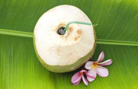  Filippino Coconut - as it's tropical,coconut palms grow EVERYWHERE,readily available in all roadside vendors & markets - VERY cheap. Locals love to chop a hole in the top,stick a straw in and DRINK,also cut off the top,stir in condensed milk,THIS version is AMAZING!