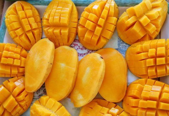  Filippino Mangoes - You guessed it,they grow wild ANYWHERE! Unripened green ones are bitter - slices & eaten with SHRIMP paste dip,a real Pinoy fave,when golden in colour,they're RIPE sweet and delicious,BEST I've tasted anywhere - MUST try 100% guys!