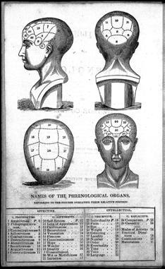 [ #NeuroRacism | Phrenology ] Phrenology was the study of head shapes and sizes. It was a pseudoscience wildly popular between 1820-1850.Surprisingly, its beginnings did not completely overlap with race. Instead, it started by looking at criminality