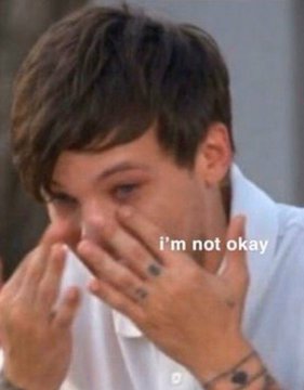 hxpe_x's tweet photo. Even if the boys come back in a future, we're never going to have this 5/5. And that breaks my heart🥺 #1DWWATOUR https://t.co/ilLOwU1hHO