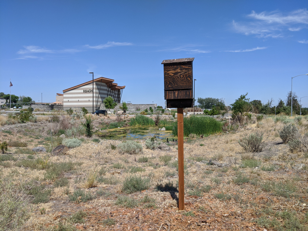 You may have seen these strange looking posts at the Museum. They're actually bat boxes!

When natural roosts are scarce due to habitat destruction or fragmentation, man-made structures provide a helpful alternative.

Thank you to the boy scout who built them!
