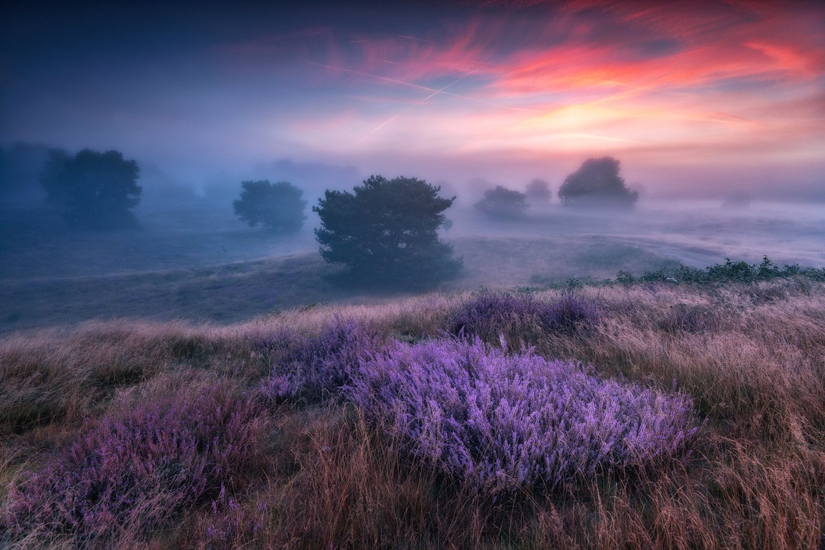 Игорь-сан 🙋♂️ (@iv_boks) on Twitter photo Time flies - that's bad news, good news - you are the pilot of your time.
    ~ Michael Altshuler.
 📸 Adam Pachula
#quotes #landscape #sunrise Time flies - that's bad news, good news - you are the pilot of your time.
    ~ Michael Altshuler.
 📸 Adam Pachula
#quotes #landscape #sunrise