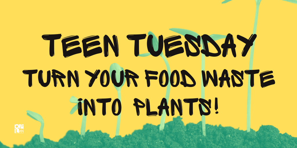oaklibrary's tweet photo. Ever wanted to grow your own food? This #TeenTuesday, learn easy ways to tap into your inner farmer by turning food waste into plants with Ashley!
🌱https://t.co/YkRbhJkPYi
#OPLonline #OPLteens #Oakland #OPLsummer https://t.co/uiRa3zIpUv
