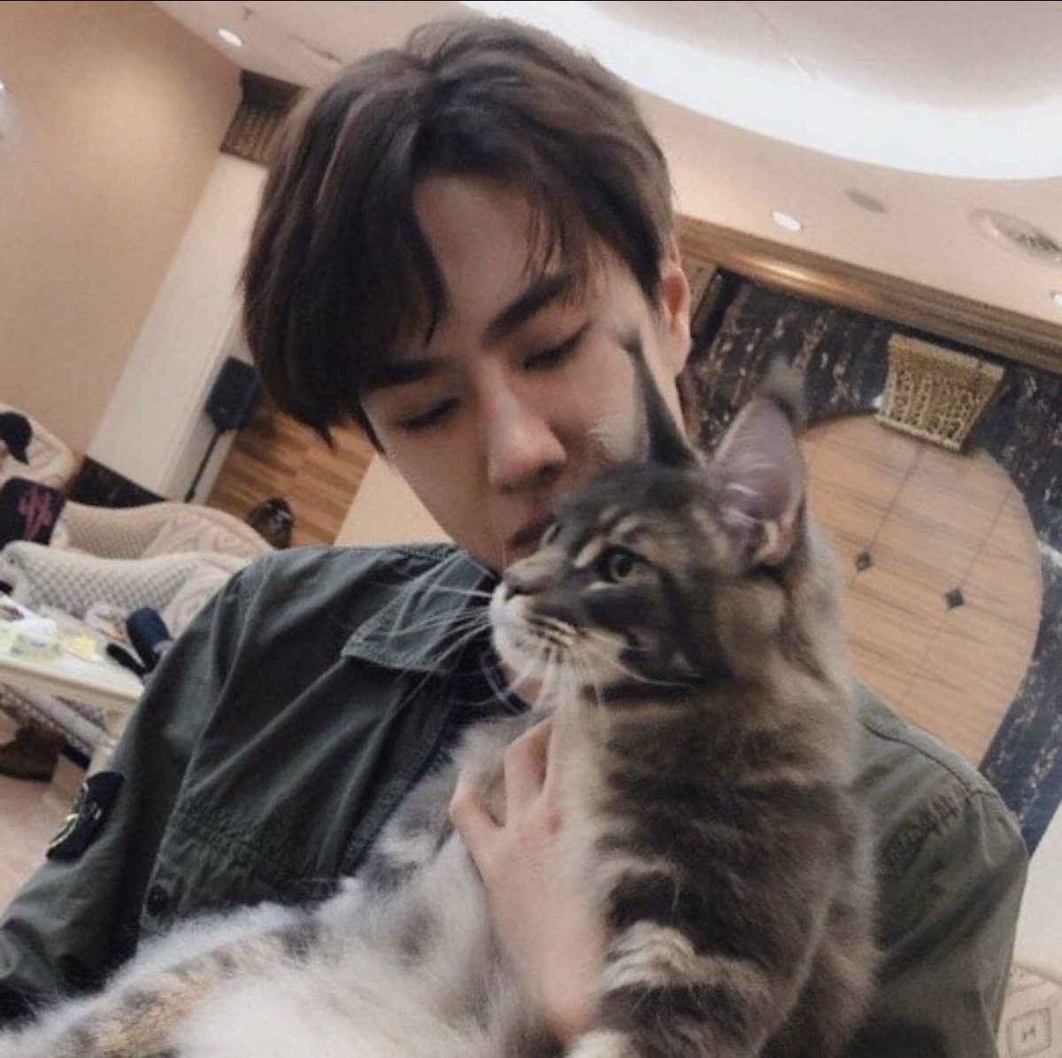 wang yibo as sailor moon - a thread