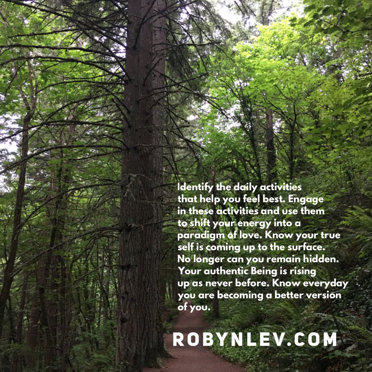 RobynLev's tweet photo. Identify the daily activities that help you feel best.
Engage in these activities and use them to shift your energy into a paradigm of love.
https://t.co/MAEJTjvEX2
#robynlev #Healing #SpiritualMinister #IntheLight #Love #EnergyHealing #RemoteHealing #America #BlueLivesMatter https://t.co/QBOmmGfcHo