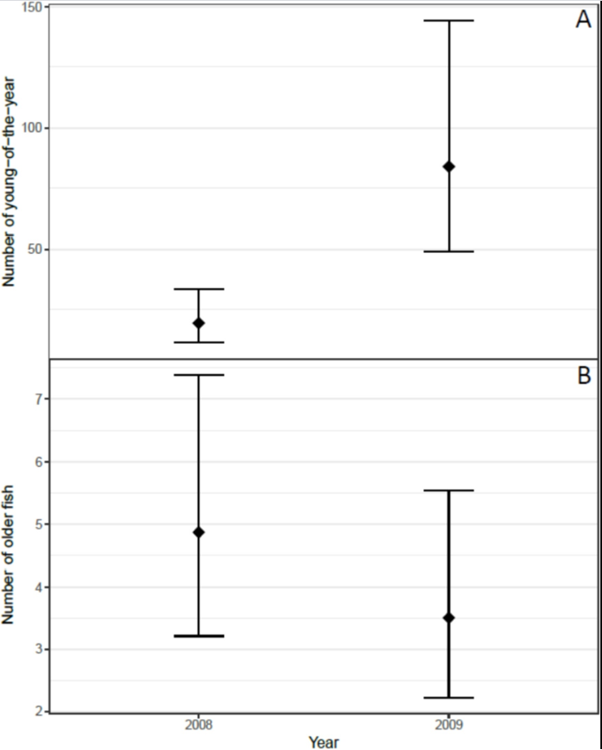 On a larger river scale, removal of a barrier generates an increase in juvenile salmonid at all sites made accessible also upstream ( https://doi.org/10.1016/j.jenvman.2020.110408). A) Sites made accessible by barrier removal B) Sites NOT made accessible.