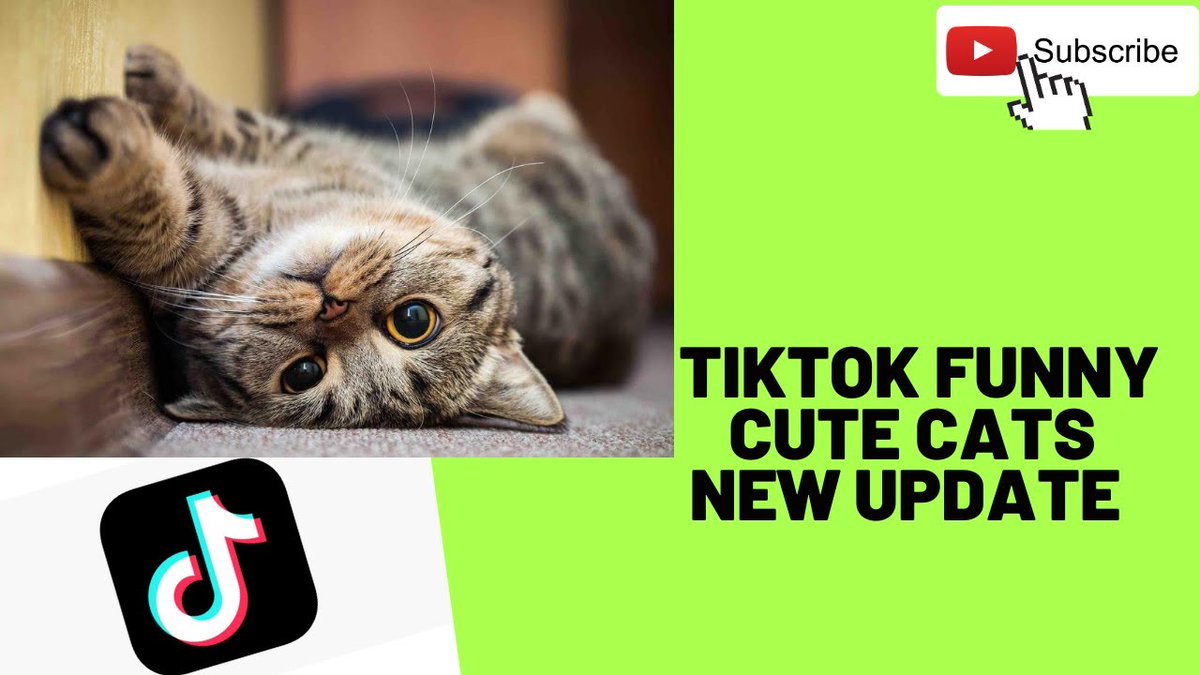 MeowMoeDotCom's tweet photo. ##Tiktok funny #Cute #Cats videos compilation - NEW ...
#Cats #Cat #Kittens #Kitten #Kitty #Pets #Pet #Meow #Moe #CuteCats #CuteCat #CuteKittens #CuteKitten #MeowMoe #Cat #CatCompilation #CatMemesCompilationVideos #CatTikTok #CATTIKTOK
https://t.co/d3mBy4AKPH https://t.co/h11aBim2RI